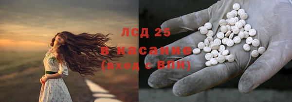 сатива Горнозаводск
