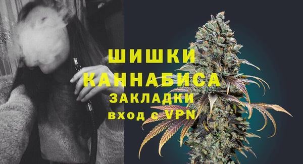 сатива Горнозаводск