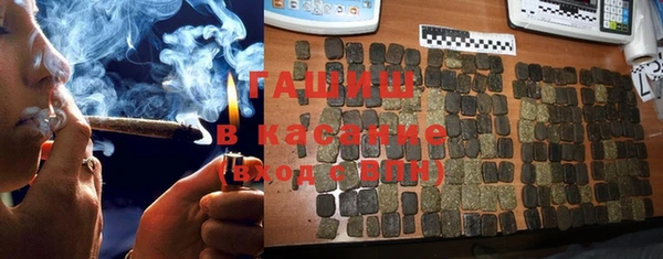 сатива Горнозаводск