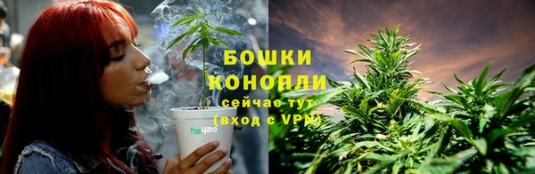 сатива Горнозаводск