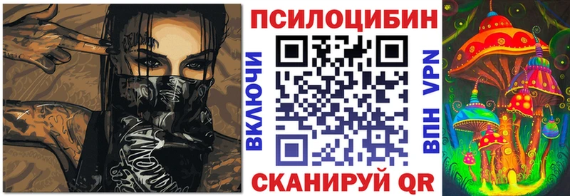 KRAKEN как войти  Нолинск  Галлюциногенные грибы Cubensis 